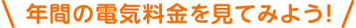 年間の電気料金を見てみよう!